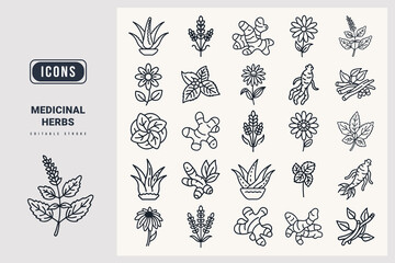Medicinal herbs icon set Aloe Vera, Lavender, Chamomile, Ginger, Peppermint, Turmeric, Echinacea, Ginseng, Holy Basil, Ashwagandha, silhouette icons.