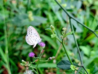 A complete and delicious breakfast