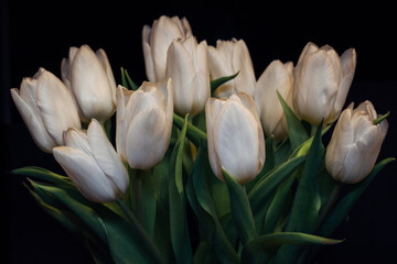 A bouquet of white tulips is arranged in a vase