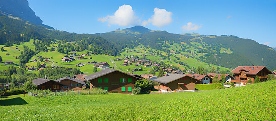 Grindelwald village with traditional chalets at the green slope, Mannlichen mountain, switzerland