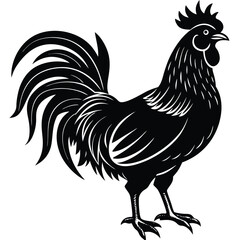 Mother hen with chicks illustration – vintage farm black vector Hen silhouette vector art white background

