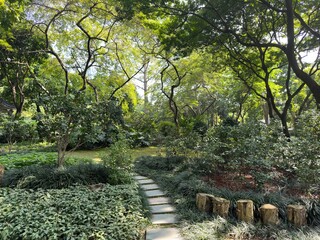 Garden path with stone steps leads through a lush, green, and vibrant landscape.