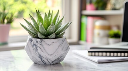 A workspace featuring a succulent in a geometric marble planter