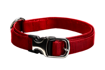 Red dog collar with buckle for pet safety and comfort