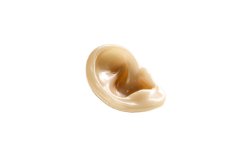 Detailed realistic model of a human ear with transparent background