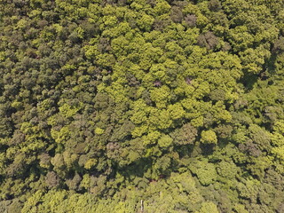 Obraz premium Top View Aerial Photograph