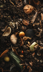 Decomposing organic matter transformation natural recycling composting environmental sustainability garden ecosystem