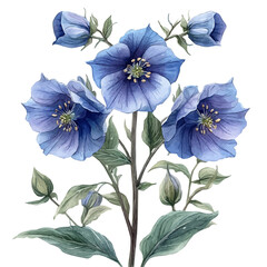 Monkshood Flower With Antique Scissors, vector watercolor illustration, isolated on a white background.