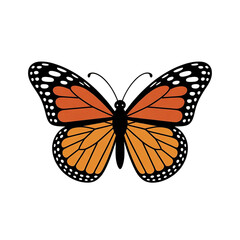 Naklejka premium illustration of a delicate monarch butterfly