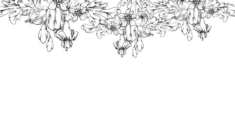 Fototapeta premium Gooseberry Currant berry, bell flower buds, leaves boutonniere ripe garden casseille jostaberry. Hand drawn in vector ink. Isolated seamless banner border garland. Cafe menu, farmers market, florist