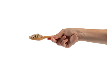 Chickpeas source of natural protein, vitamins and minerals. Healthy diet food on wooden spoon in hand. transparent background.