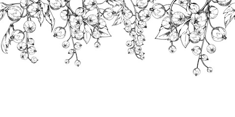 Currant gooseberry with green leaves on branch, hand drawn in vector ink, ripe garden berry juneberry casseille jostaberry cluster group. Isolated seamless banner border for craft menu, farmers market
