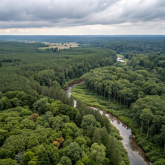 Scenic aerial view of the mountain landscape with a forest and the crystal blue river