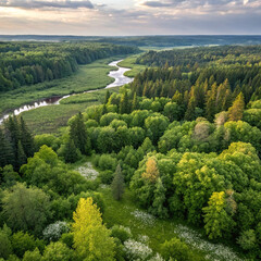 Scenic aerial view of the mountain landscape with a forest and the crystal blue river