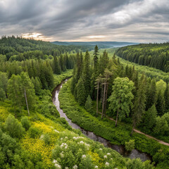 Scenic aerial view of the mountain landscape with a forest and the crystal blue river