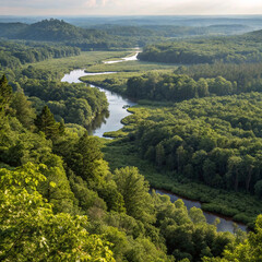Scenic aerial view of the mountain landscape with a forest and the crystal blue river