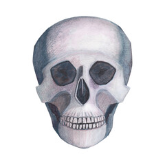 Scull gothic magical texture isolated on white background. Watercolor hand drawn esoterics sketch skull illustration. Art for design mystical halloween witch decoration, scary card