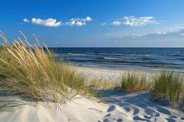 Tranquil Ocean Landscape: Sandy beach, blue skies, and gentle waves; serene scene with swaying grass and footprints in the sand