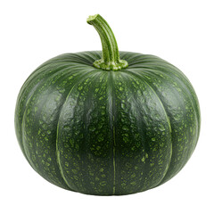 Vibrant Green Pumpkin A Fresh and Healthy Vegetable
