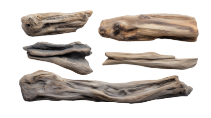 collection of driftwood pieces with various shapes and textures  isolated on white transparent background