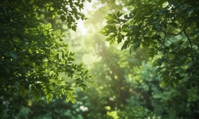 Blurred green leaves, dappled light, soft focus, lush vegetation,  soft,  texture