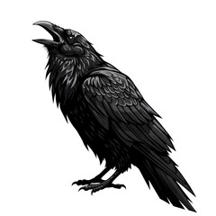 Fototapeta premium Majestic Raven Bird Illustration Striking Pose Black Feathers Wildlife Artwork