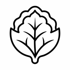 Collard outline icon on white background
