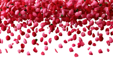 red tulips background