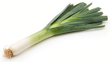 Single Leek on White Background