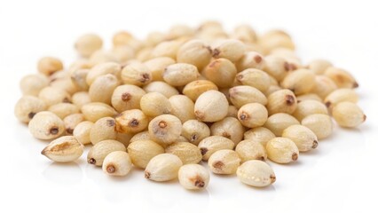 White Sorghum Grains Close-Up