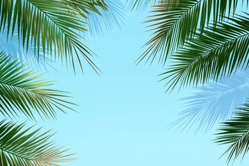 Fototapeta premium Palm leaves against a light blue sky