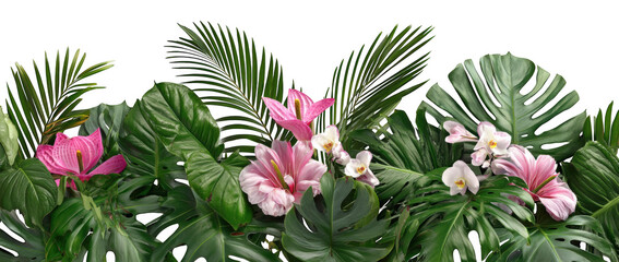 Exotic Tropical Floral and Flower Arrangement on Transparent Background