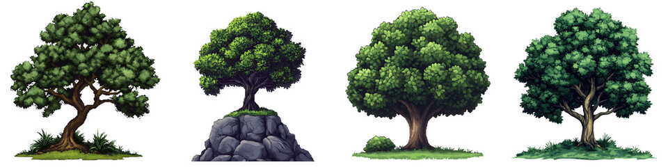 Diverse collection of lush, verdant trees in natural settings.