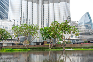 Trees and modern glass buildings reflecting in calm water in downtown Dubai. Combination of nature...