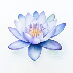 Serene Water Lily Blossom on Calm Water Surface with Delicate Petals in Soft Blue and White Hues