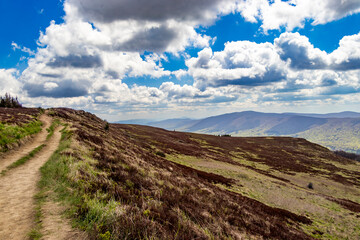 Naklejka premium Scenic view of a winding path through a grassy hillside with vibrant green vegetation under a bright blue sky dotted with fluffy clouds in Bieszczady mountains.