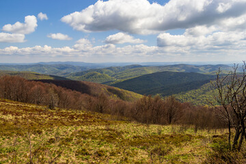 Expansive view of Bieszczady Mountains in spring, showcasing lush greenery and rolling hills under a blue sky filled with fluffy clouds. Ideal for nature enthusiasts.