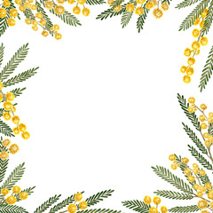 Mimosa Flowers and Leaves Square Frame. Botanical watercolor illustration of Silver wattle. Perfect for your spring-themed wallpaper, banners, textiles, postcards, or wrapping paper