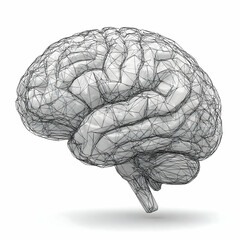 Fototapeta premium Abstract Wireframe Brain