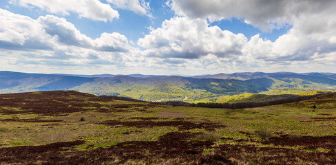 Vast green landscape of Bieszczady mountains under a blue sky dotted with fluffy clouds. The scene captures the beauty of nature, perfect for outdoor enthusiasts. © daily_creativity