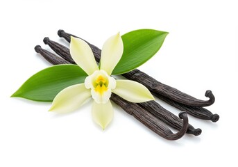 Fragrant vanilla flower and pods with fresh green leaves arranged on a clean white surface in a studio shot