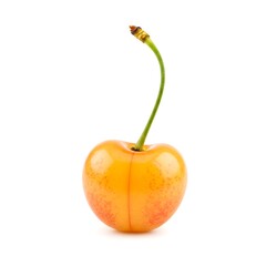 A single, ripe Rainier cherry, showcasing its vibrant yellow