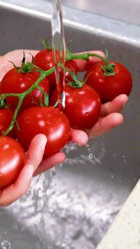 Washing Fresh Tomatoes in a Kitchen Sink