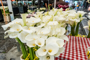Frische weiße Calla-Lilien auf Blumenmarkt mit kariertem Tisch