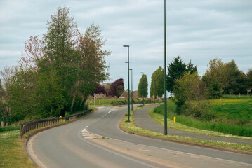 Quiet suburban road with greenery and overcast sky