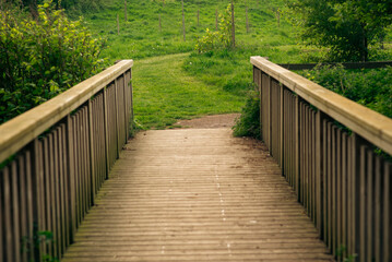 Wooden bridge overlooks lush green pathway in serene natural landscape