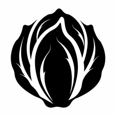 Radicchio silhouette icon on white background
