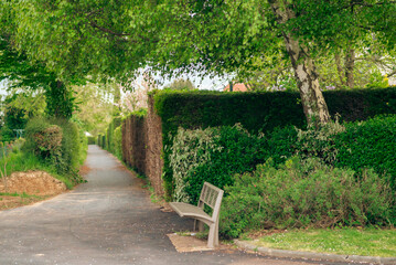 Peaceful park pathway with bench surrounded by lush greenery and trees