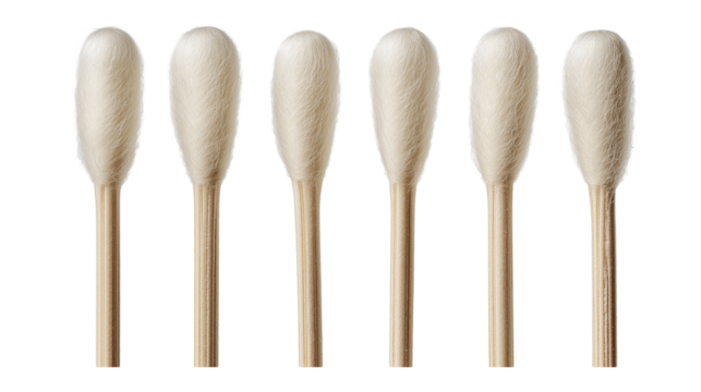  several cotton swabs isolated on white transparent background