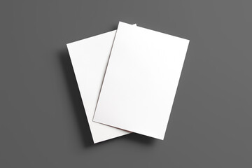 Blank Flyer  for mockup. 3D Render. Isolated on white background